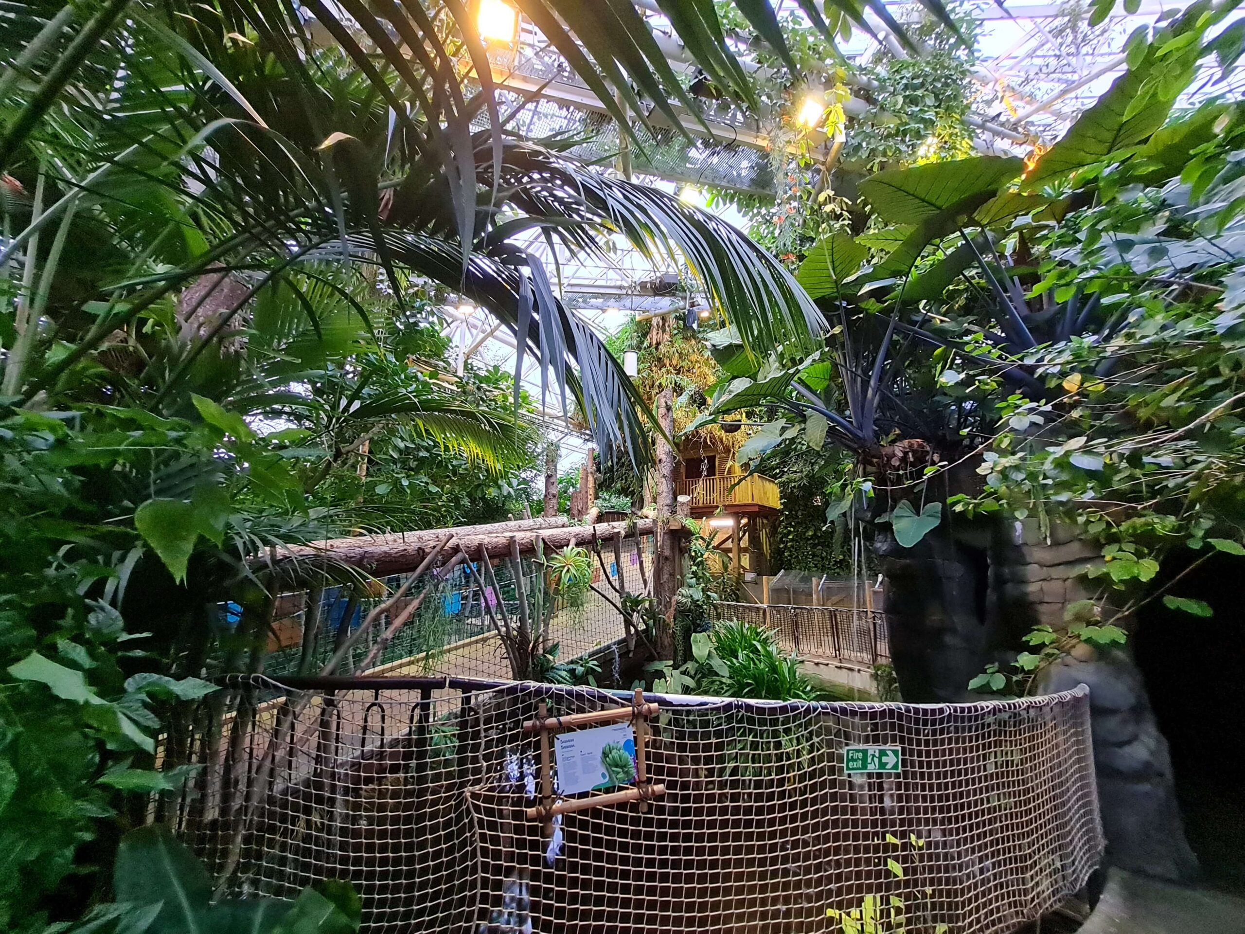 PLANTASIA TROPICAL ZOO – WeWantGroups.com